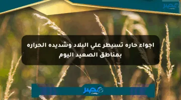 أجواء حارة تسيطر على البلاد وشديدة الحرارة بمناطق الصعيد اليوم